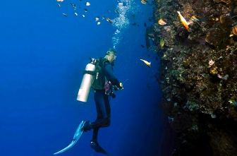 Neutrally buoyant diver in front of a reef wall